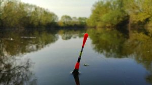 ВЕСЕННЯЯ РЫБАЛКА НА ПОПЛАВОЧНУЮ УДОЧКУ