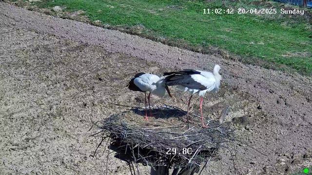 И что это было?