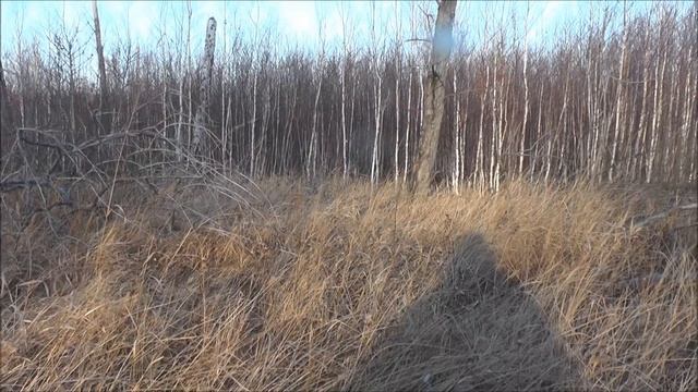 Охота на косулю. Часть 9. Октябрь. смотреть онлайн