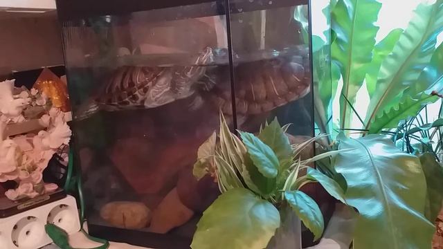 1 часть МОСКВА СЛЕЗАМ НЕ ВЕРИТ смотреть онлайн