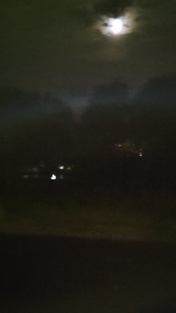 Лунная ночь на Волге...