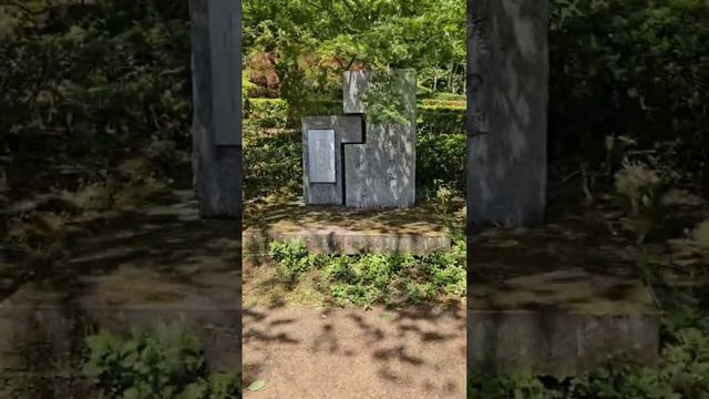 Парк пионов....Любуйтесь... смотреть онлайн