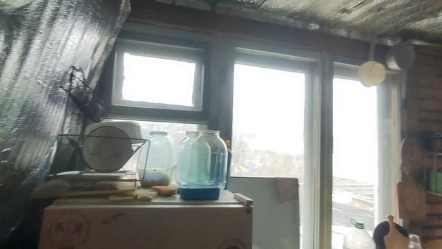 Ёлочка СНТ смотреть онлайн