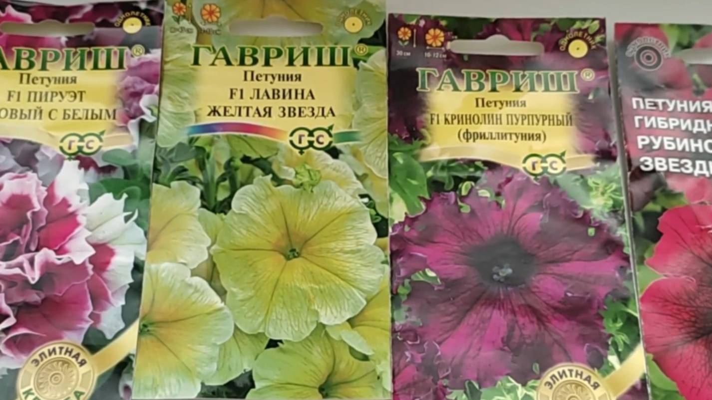 Как развиваются Петунии, первый уход смотреть онлайн