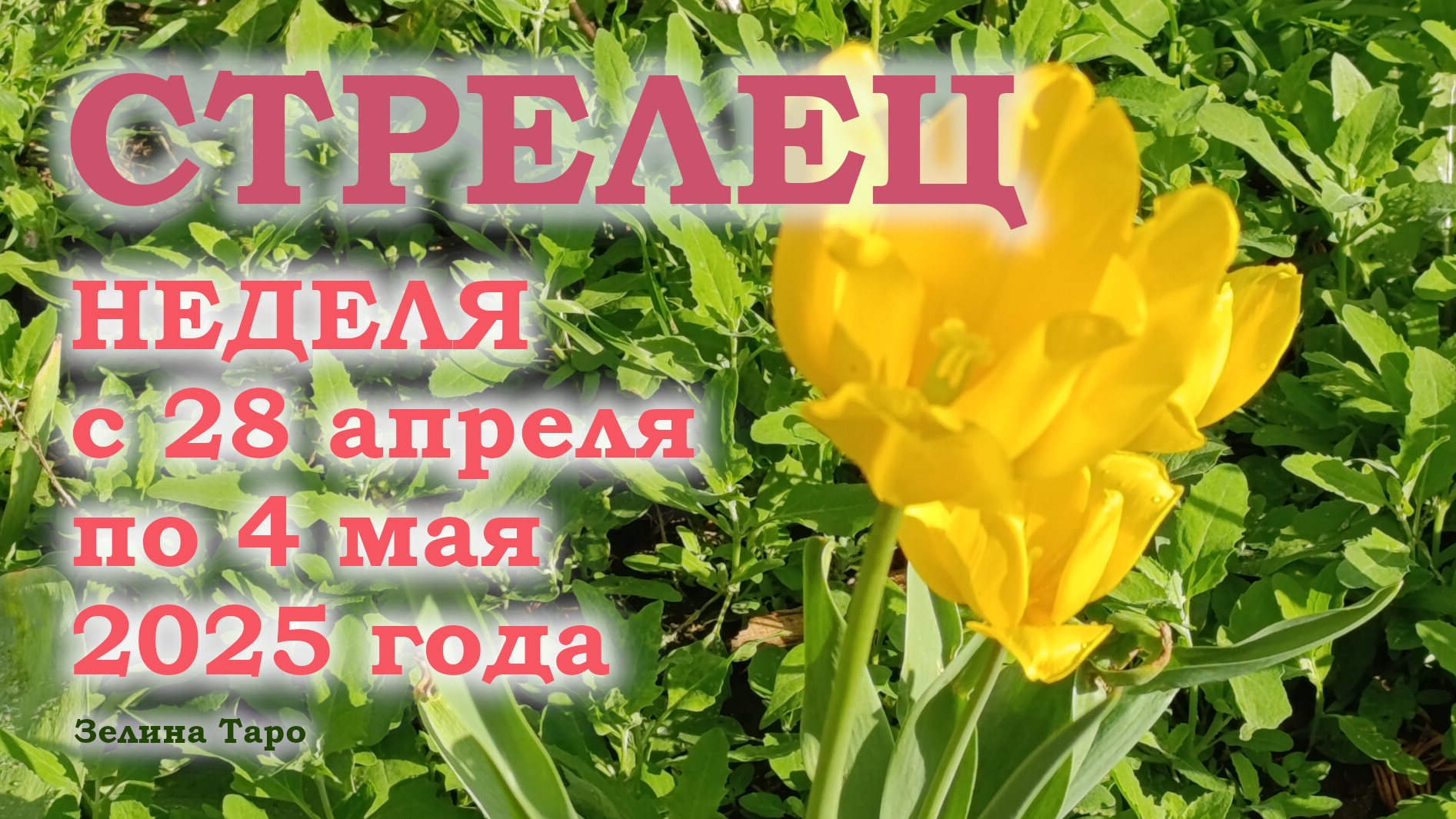 СТРЕЛЕЦ | ТАРО прогноз на неделю с 28 апреля по 4 мая 2025 года
