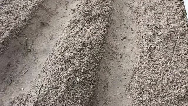 Снег лежит, а копать надо, обзор моей рассады. смотреть онлайн