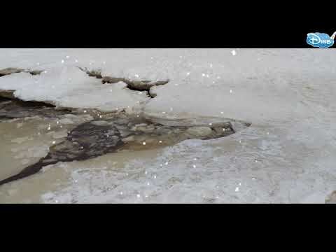 РЕПИНО - Финский залив 23.01.2022