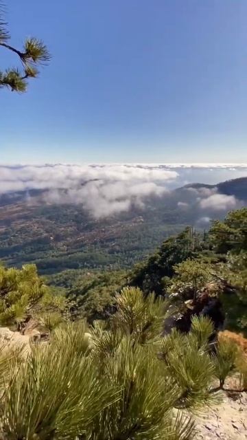 Я не верю что это Крым смотреть онлайн