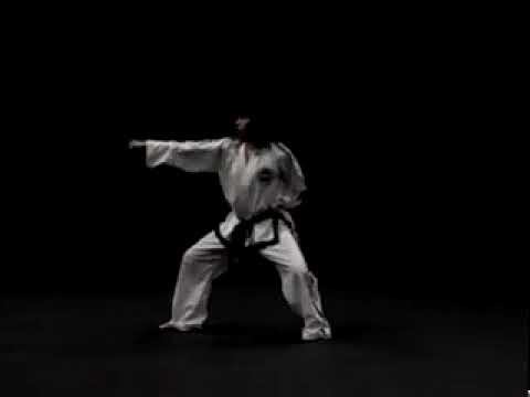 Вон Хё видео тхэквондо туль на зелено-синий пояс, 5 гып хьенг 28 движений комплекс Won Hyo вид сзади смотреть онлайн