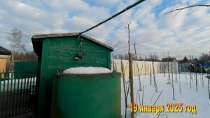 7 соток. Как меня научили бороться с воронами и сороками на дачном участке. 19 января 2025 год