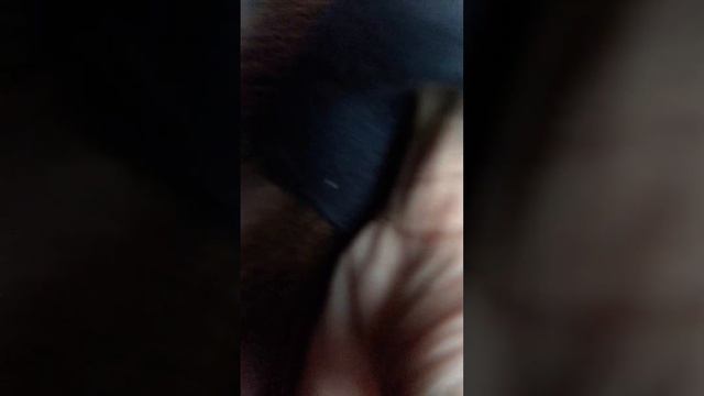 СНЕЖОК ТВ ШОПИНГ! 3 ЧАСТЬ ОБЗОР НА ПОКУПКИ