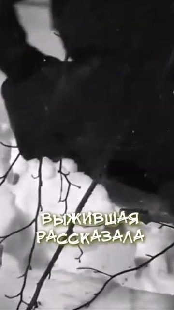 жуткая мистика в горах #рогы #мистика #shorts смотреть онлайн