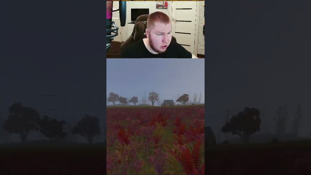 СИДОРОВИЧ? КАКОГО ЧЕРТА? смотреть онлайн