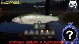 Русская рыбалка 4. Куори. Точка на Сига Куорского. Квест на подарки!!!