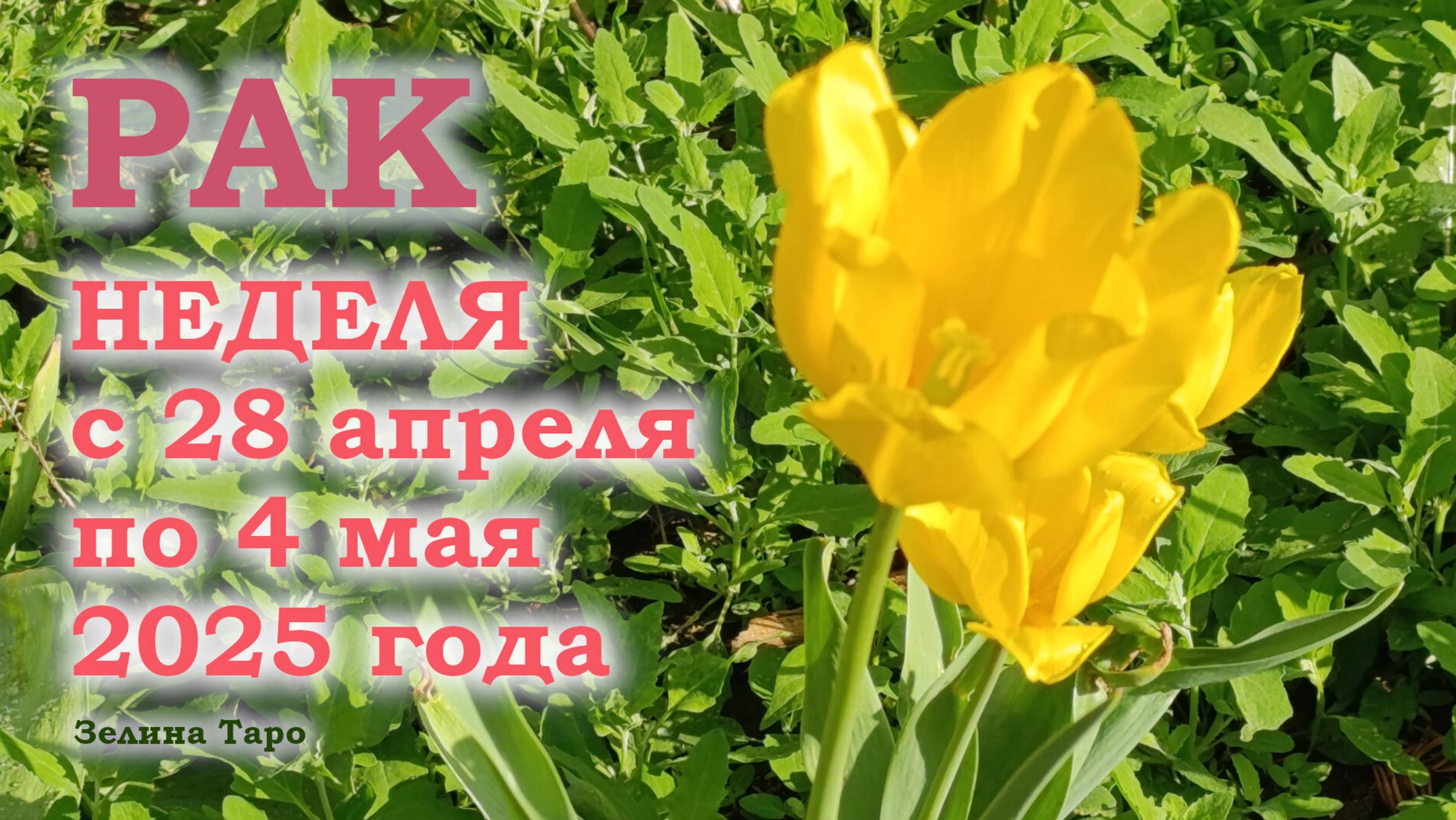 РАК | ТАРО прогноз на неделю с 28 апреля по 4 мая 2025 года