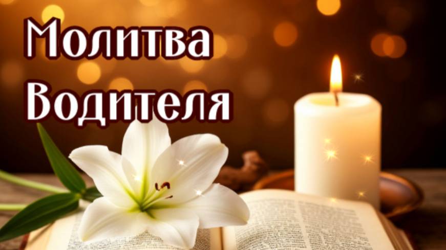 ВОДИТЕЛЮ смотреть онлайн