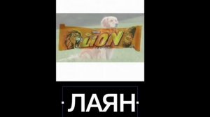 Бренды + ШИЗА =