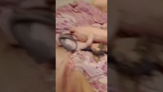 новый котик смотреть онлайн