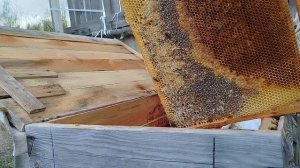 Как не дать остановиться взятку.