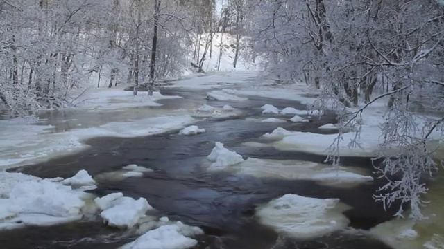 Кейла Йоо смотреть онлайн