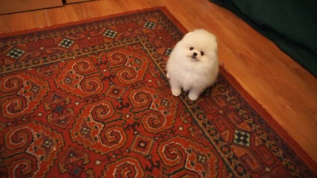 Самый красивый 2 смотреть онлайн