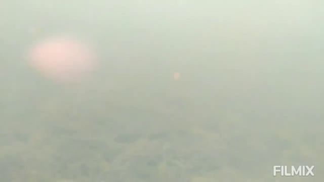 тридцатка + фишт 2