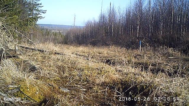 Заяц 6 26 05 18 смотреть онлайн