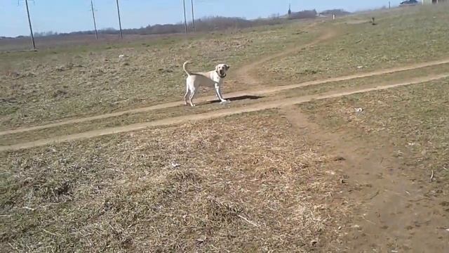 Весна)))
