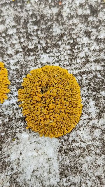 Мраморные карьеры с загадочными линиями на льду и красивый ручей в скалистом каньоне | Ураловед смотреть онлайн