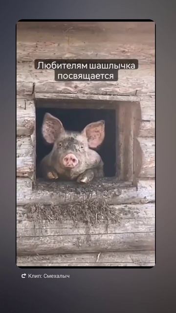 Полезные подсказки и обзоры