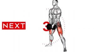 Тренировка на все группы мышц. Комплекс упражнений с гантелями.