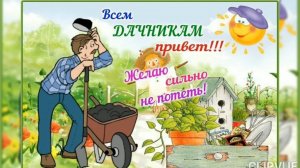 С ДОБРЫМ УТРОМ, ДОРОГИЕ ДАЧНИКИ И ДАЧНИЦЫ!!!