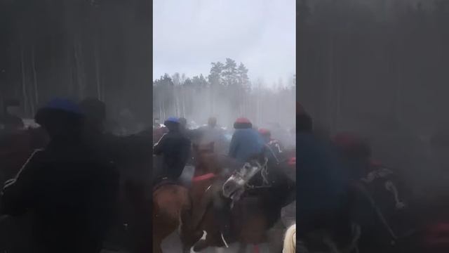 🔥Жалалабад обласынын Жергетал айылы берген аламан улактан узунду🇰🇬🔥🤲🐎 смотреть онлайн