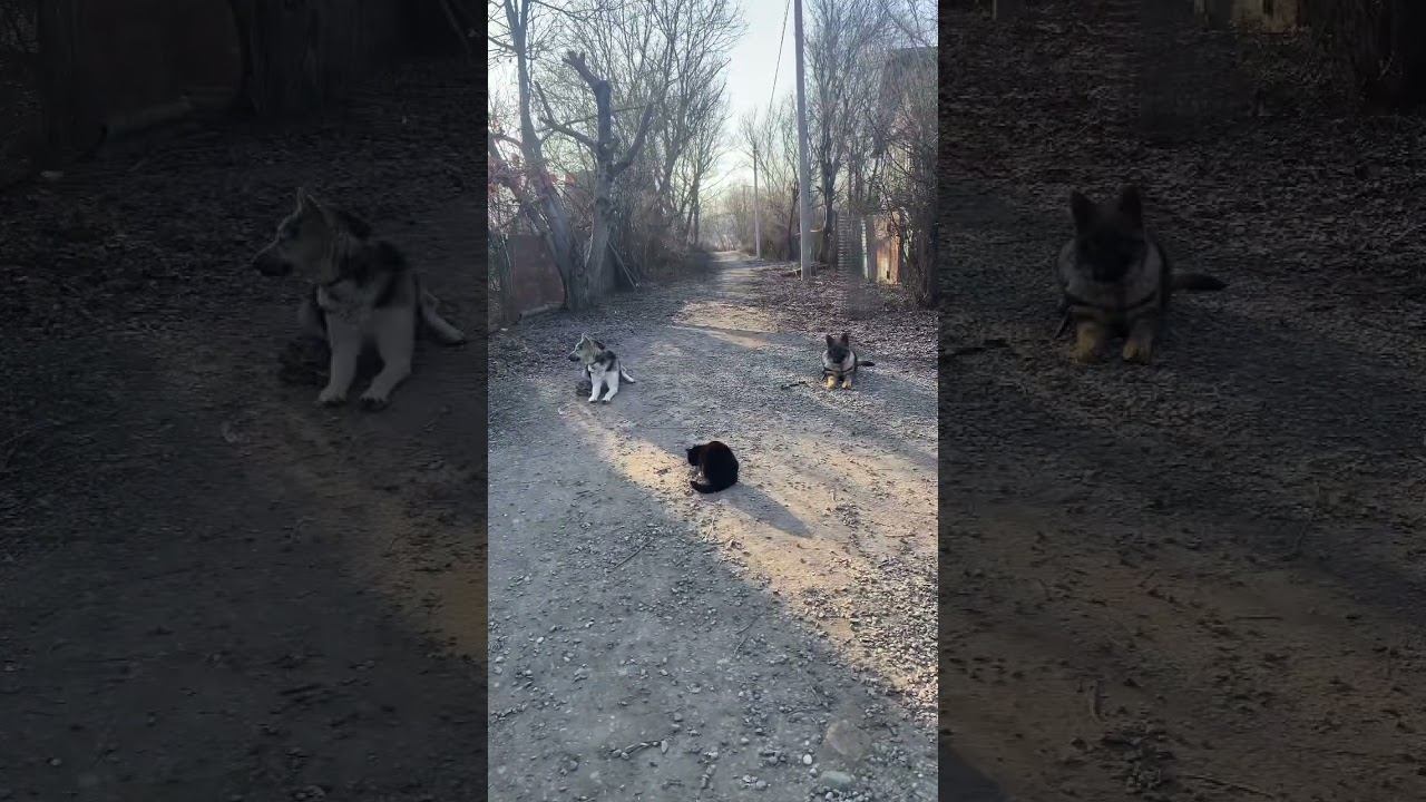 Железная выдержка смотреть онлайн