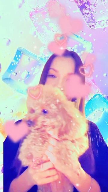 вики шоу❤