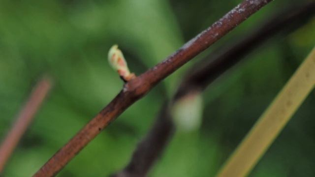 Нуждающиеся в заботе смотреть онлайн