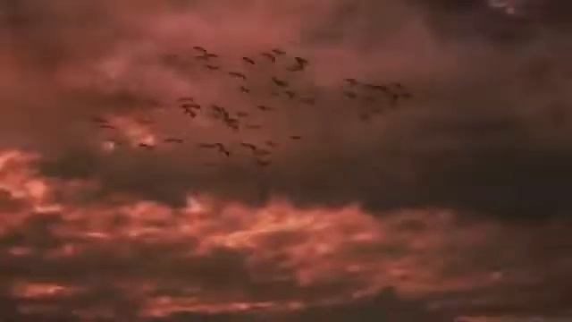 Стих Екатерина Гангало ''""ССОСТАНОВИТЕСЬ ЛЮДИ !!!""" смотреть онлайн