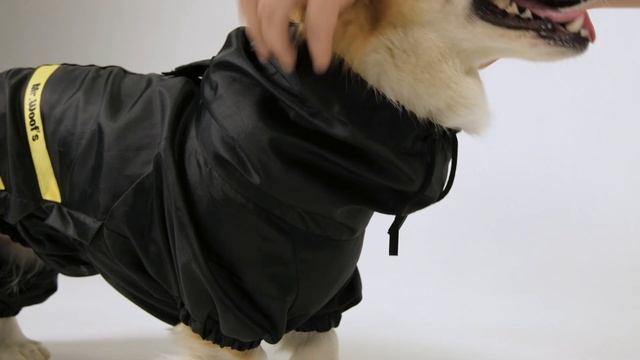 Комбенизон для собак от Mr. Woof