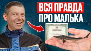 Не дай ИМ себя обмануть! Как ПРАВИЛЬНО купить малька и выбрать НАДЕЖНЫХ поставщиков_ Инструкция