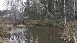 И НИКОГДА ТАК МИРА НЕ ХОТЕЛОСЬ!