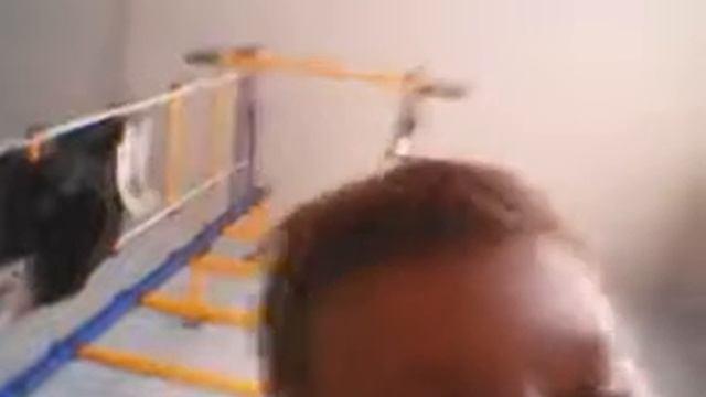 Мой рак с печки бряк