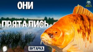 RF4 ОНИ ПРЯТАЛИСЬ НО МЫ ИХ НАШЛИ ВОТ ЧТО ВЫШЛО #рр4