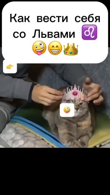 Не так ли?🤓🤪🤣 #астрология #знакизодиака смотреть онлайн