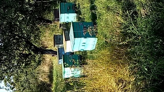 VID_20170921_145822 смотреть онлайн