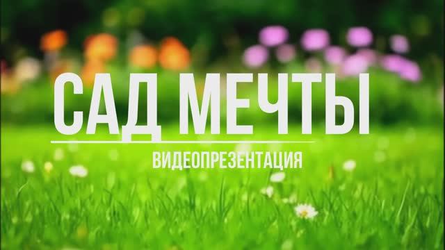 Видеопрезентация "Сад мечты" (12+) смотреть онлайн