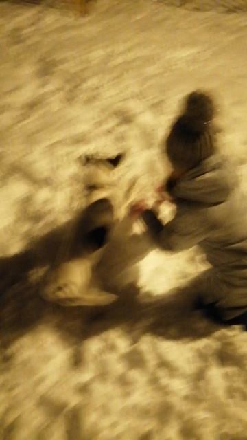 Майкимайк. Когда решил построить снеговика)