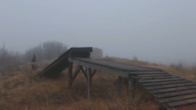 Пчелка,туман смотреть онлайн