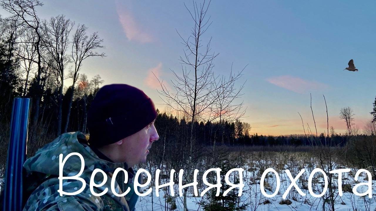 ВЕСЕННЯЯ ТЯГА ВАЛЬДШНЕПА НА ВЫРУБКАХ 2025. УДАЧНАЯ ОХОТА. Забрались в глушь. УАЗ прёт!