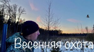 ВЕСЕННЯЯ ТЯГА ВАЛЬДШНЕПА НА ВЫРУБКАХ 2025. УДАЧНАЯ ОХОТА. Забрались в глушь. УАЗ прёт!