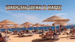 Отличный отель DOMINA CORAL BAY OASIS 5 Шарм –Эль-Шейх Египет
